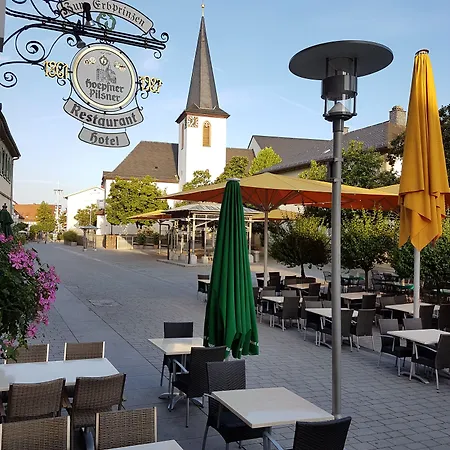 Restaurant Erbprinz 3* Walldorf (Baden-Wurttemberg)