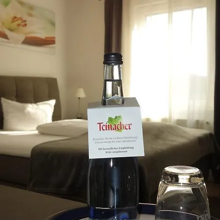 Hotel Restaurant Erbprinz Walldorf (Baden-Wurttemberg)